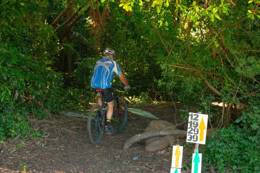 Trail
